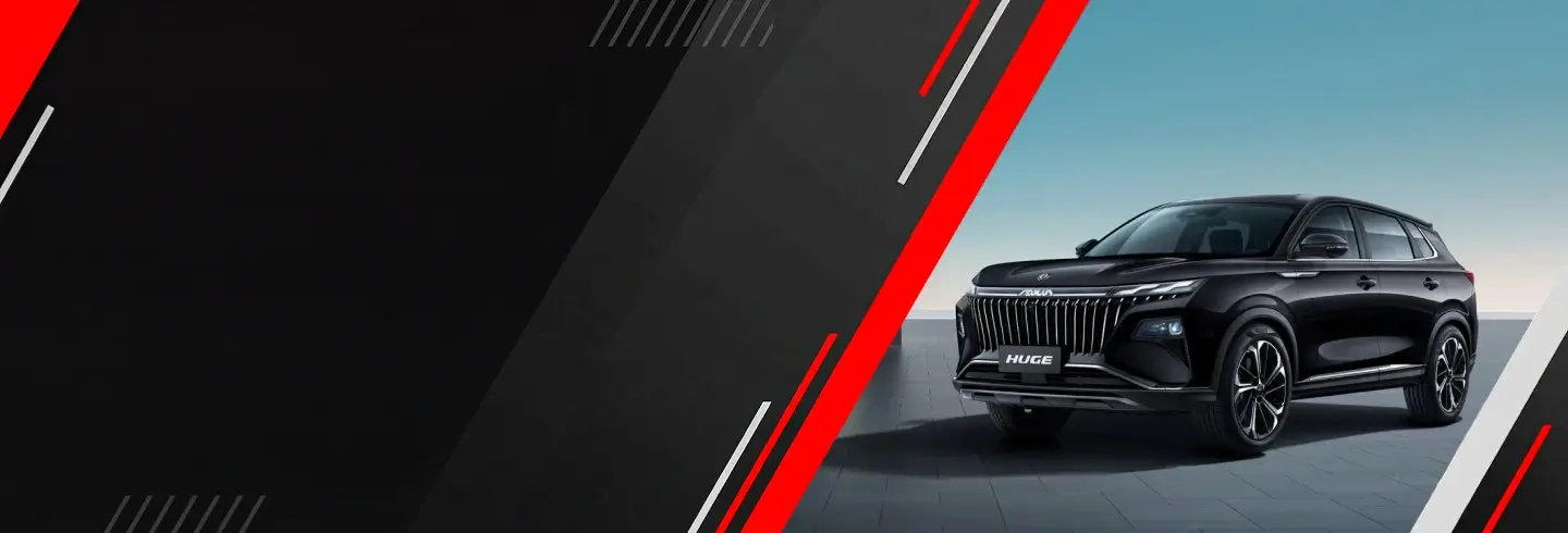 Dongfeng banner